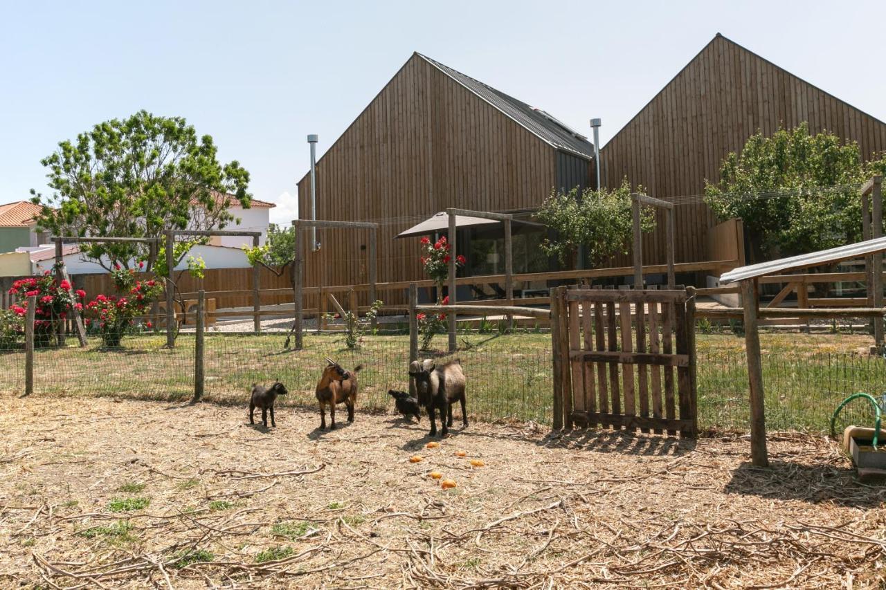 Maçeira Villa Arneiro 1 מראה חיצוני תמונה
